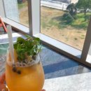 오션팔레드 이미지