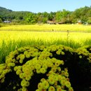 신동1통 마을회관 이미지