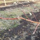 청태농장 이미지