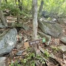 목골 | [함양/블랙야크100대명산] 황석산 최단코스 시구목골 코스