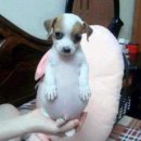 넨네