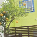 제주도 하숙집 이미지