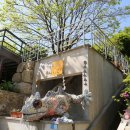 바우밸리 이미지