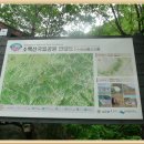 ★소백산 비로봉(1,439m).(단양천동굴[丹陽泉洞窟])2013년 5월 28일(3편)^^★ 이미지