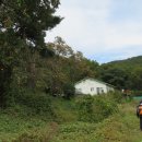 권능교회 이미지