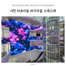 고래고래 | 서천 씨큐리움 바다마을 고래고래 무료 키즈카페 실내놀이터