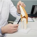 바로척신경외과의원 이미지