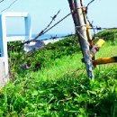 재호목장 이미지