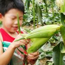 소리산마을 이미지