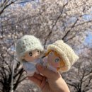 세영마트 | 혹시 제가 컴백햇나요? 컴백하는 아이돌 따라다니는 빠순이 일상