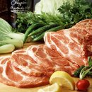 마이야르 이미지