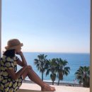 진재영 카카오 검색결과