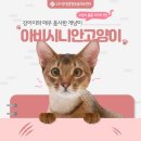 한수24시동물병원 이미지