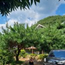 물안개 피는 마을,들꽃향기 이미지