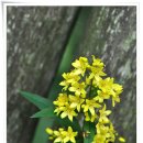 강릉목장 이미지