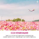 영종도·용유도