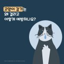 만수동물병원