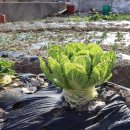 용해동주민센터 이미지