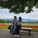 (유)고려렌트카 | 삿포로 근교 여행 3박 4일 후기