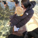 신진벽돌 | 충주 수안보온천 족욕체험장 충주여행 수안보 족욕길 야간산책 국내여행지추천