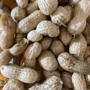 달려라 차차차 이미지