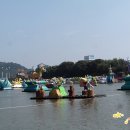 유등농장 이미지