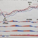 씽긋 이미지