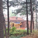 봄비에 우산 쓰고 금호산 넘어, 작은도서관 &#39;책읽는엄마 책읽는아이&#39; 가는길 2025.4.5.