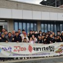 고구마캐기체험