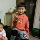 천해향