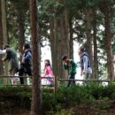 흙집우드 이미지