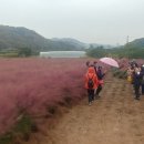 화성특용작물농장