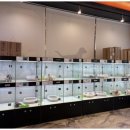 하남강아지 이미지