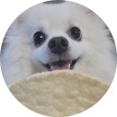 뻥튀기공작소영종