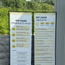 [파주 애견카페] 오프리쉬독파크 1200평 천연잔디 운동장&amp;수영장 후기