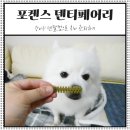 이치덴탈 이미지