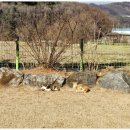 쉼터실버요양원 이미지