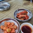 일월칼국수 | [보령] 현지인 맛집 일월굴칼국수 굴칼국수 굴전 주말 방문 후기