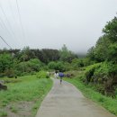 A walk in the rain - 지리산 둘레길 이미지