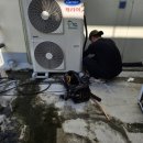 거성태권도장 이미지