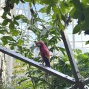 광주광역시 시립수목원 B동 | 광주 실내 가볼 만한 곳 광주시립수목원 아이랑 나들이