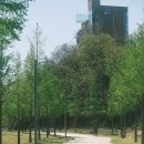 금호강변공원 화장실 이미지