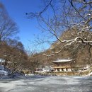 백양사진입로 이미지