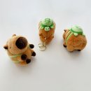 주식회사 카피바라