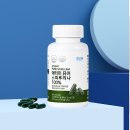 ㈜엽록소 이미지