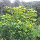 예담농장 이미지