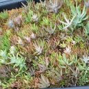 보경농장 이미지