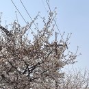 무림한의원 이미지