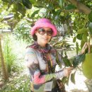 로얄식당 이미지