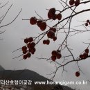 호랭이농장 네이버블로그